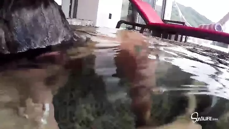 SinsLife Vaca Sex